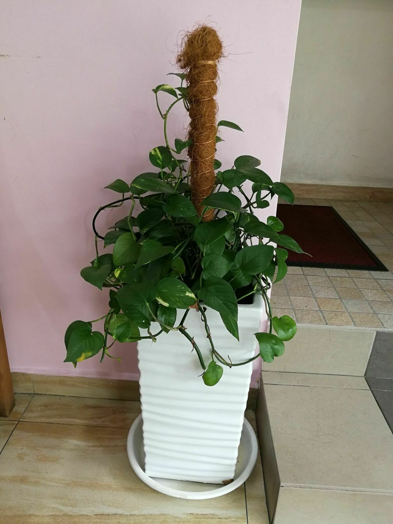 Oyo 172 Spring Hotel Kuala Lumpur Dış mekan fotoğraf